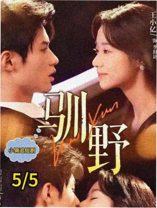 285电影在线看 半城烟雨 剧集在线看